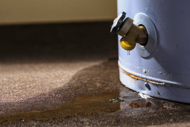 Best Water damage restoration specialists  in Clifton, AZ