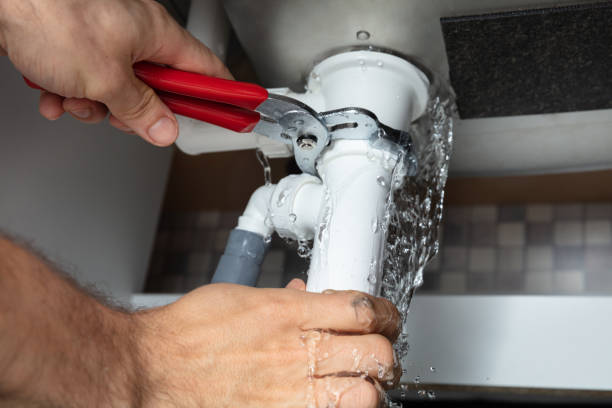 Best Professional water damage repair  in Clifton, AZ