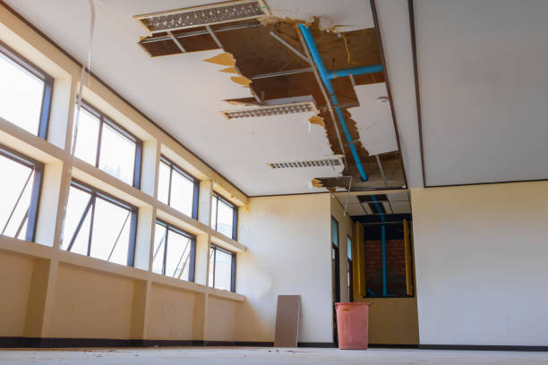 Best Fire Damage Restoration  in Clifton, AZ