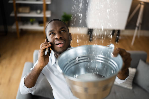 Clifton, AZ Water damage restoration Company