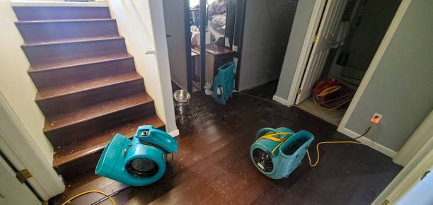 Best Water damage restoration services  in Clifton, AZ