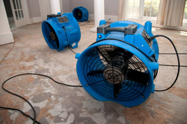 Best Local water damage restoration  in Clifton, AZ