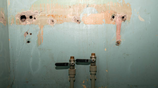  Clifton, AZ Water damage restoration Pros