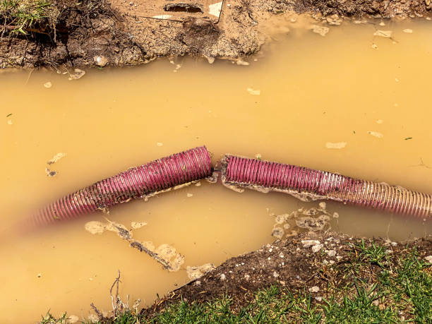 Best Water damage restoration near me  in Clifton, AZ