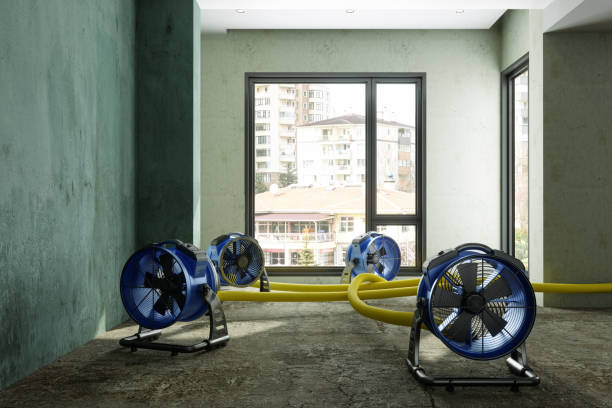 Best Sewage cleanup and water damage restoration  in Clifton, AZ