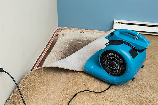 Best Ceiling water damage repair  in Clifton, AZ